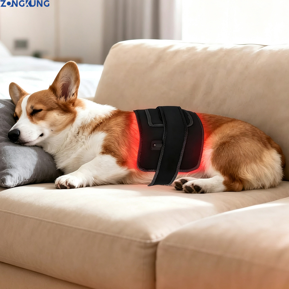 Red Light Therapy for Pets Vet - Galvanic Skin Sensor ulasan dan harga